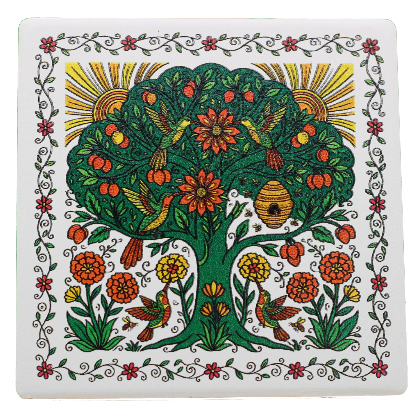 Amate The Cycle of Life Coasters